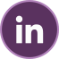 LinkedIn Button